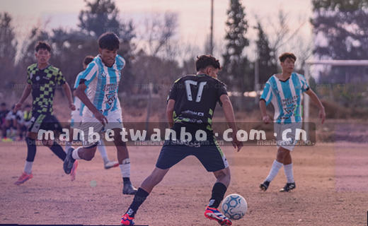 数据归档 有序存放 快速调取